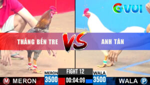 Trận 12 CPC3 29/5/2025 - Trận So Nài Kịch Tính Của Thắng BT và Anh Tân