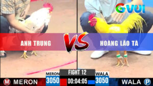 Trận 12 CPC3 30/5/2025 - Hoàng Lão Tà Thả Gà Nhuộm Đè Gà Bướm A Trung