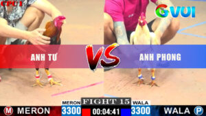Trận 15 CPC1 27/5/2025 - Điều Đá Đâm Quá Đâm Tiễn Úa Về Tây Thiên
