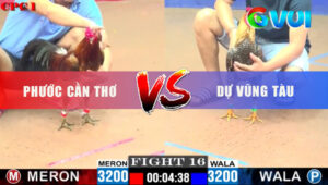 Trận 16 CPC1 26/5/2025 - Cú Anh Dự 1 Chân Dứt Điểm Đẹp Đối Thủ