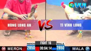 Trận 16 CPC3 26/5/2025 - Gà Mã Lại Không Có Cửa Với Bướm Anh Tí