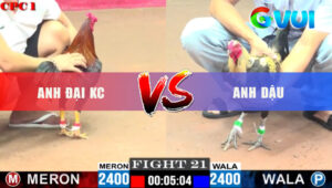 Trận 21 CPC1 26/5/2025 - Trận Đấu Loại Ngược Dòng Kinh Điển