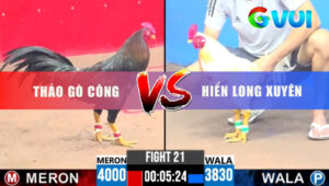 Tran 21 CPC3 18 5 2025