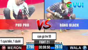 Trận 21 CPC3 30/5/2025 - Gà Phu Phu Đè Đầu Đăng Black Không Đứng Nổi