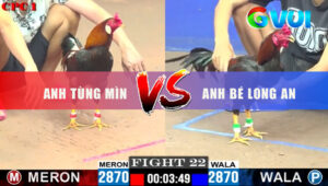 Trận 22 CPC1 29/5/2025 - Điều Đỏ Anh Tùng Mìn Sút 1 Chân Anh Bé Hư Giò
