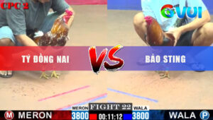 Trận 22 CPC2 23/5/2025 - Bảo Sting Thể Hiện Tài Nài Gà Nhưng Hết Cứu