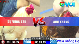 Trận 24 CPC1 24/5/2025 - Gà Khét Chồng Độ Đá Gà Đỏ Không Thấy Đường Về