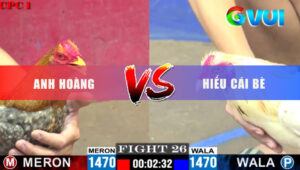 Trận 26 CPC1 26/5/2025 - Cú Bắt Bướm Về Bờ Nhanh Lẹ