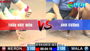 Trận 27 CPC1 20/5/2025 - Bướm Anh Tuấn Dí Ăn 5 Và Cái Kết Té Sụm