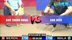 Trận 28 CPC1 29/5/2025 - Gà Bướm Có Chân Phản Cứu Chủ Thành Công