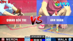 Trận 3 CPC2 21/5/2025 - Gà Bướm Anh Nhân Ngược Dòng Kịch Tính Đỏ Gục