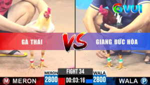 Trận 34 CPC3 25/5/2025 - Gà Xanh A.Giang Thắng Vất Vả Trước Gà Thái