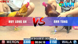 Trận 35 CPC1 20/5/2025 -Khét Nuôi Tang Không Thắng Được Bị Phản Lại Hư