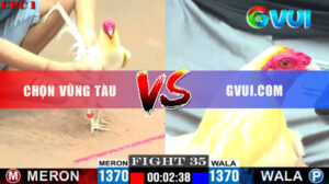Trận 35 Giải CPC1 26/5/2025 - Úa Đỏ Bị Gà GVUI.COM Đâm Bung Chạy