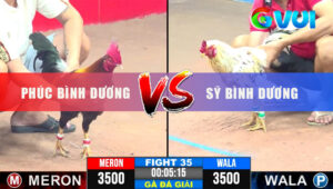 Trận 35 Giải CPC3 31/5/2025 - Anh Phúc Bình Dương Tung 1 Cước Lụm A Sỹ