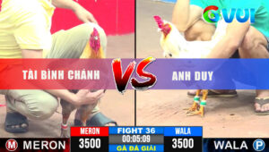 Trận 36 Giải CPC3 31/5/2025 - Xám IDOL Phúc Bình Dương Đẳng Cấp Về Nhì