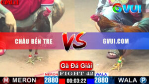 Tran 42 giai CPC1 15 5 2025 Ga Gvui.com Da 2 Chan Ha Dep Doi Thu