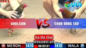 Trận 47 Giải CPC1 26/5/2025 - Gà Que Có Chân Hạ Gà Xanh GVUI.COM