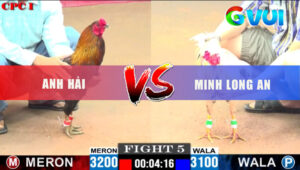 Trận 5 CPC1 24/5/2025 - Điều Anh Hải Đá 1 Tăng Bướm Gãy Giò Hết Cứu