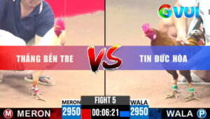 Trận 5 CPC3 27/5/2025 - Bướm Đá Đâm Như Máy Khét Không Có Cửa