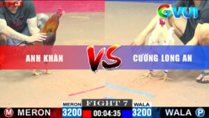 Trận 7 CPC1 27/5/2025 - Gà Bướm Phản Tang Biện Đi Núi Hết