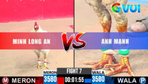 Trận 7 CPC3 27/5/2025 - Bướm Anh Mạnh Đá 2 Chân Úa Gãy Giò Kêu Miệng