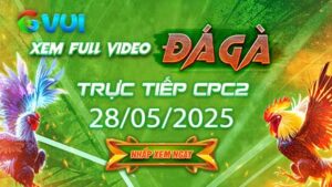 Xem full video đá gà trực tiếp CPC2 ngày 28-05-2025