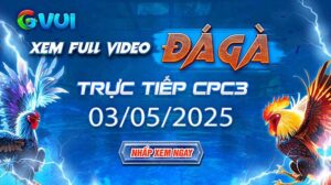 Xem full video đá gà trực tiếp CPC3 ngày 03-05-2025
