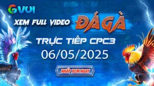 Xem full video đá gà trực tiếp CPC3 ngày 06-05-2025