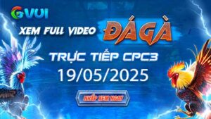 Xem full video đá gà trực tiếp CPC3 ngày 19-05-2025