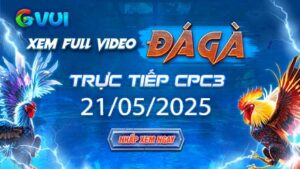 Xem full video đá gà trực tiếp CPC3 ngày 21-05-2025