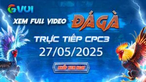 Xem full video đá gà trực tiếp CPC3 ngày 27-05-2025