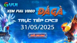 Xem full video đá gà trực tiếp CPC3 ngày 31-05-2025