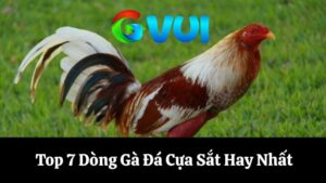 Khám Phá Top 7 Dòng Gà Đá Cựa Sắt Hay Nhất