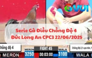 Serie Gà Điều Chồng Độ 4 Cái Của Đức Long An Tại CPC3 22/06/2025