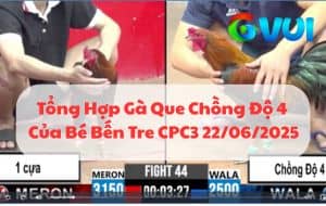 Tổng Hợp Gà Que Chồng Độ 4 Của Bé Bến Tre Tại CPC3 22/06/2025