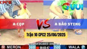 Trận 10 CPC2 25/06/2025 - Anh Cọp Vs Anh Bảo Sting