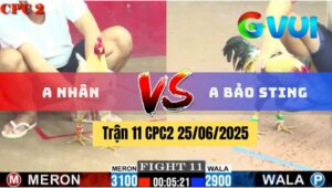 Trận 11 CPC2 25/06/2025 - Anh Nhân Vs Anh Bảo Sting