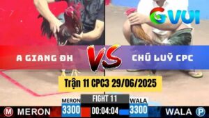 Trận 11 CPC3 29/06/2025 - Anh Giang Đức Hoà Vs Chú Luỹ Campuchia