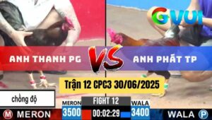 Trận 12 CPC3 30/06/2025 - Gà Anh Phát Thành Phố Đá 2 Chân Có Kết Quả