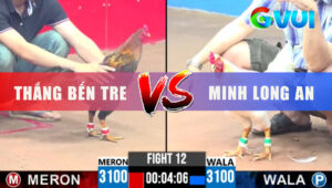 Trận 12 CPC3 8/6/2025 - Bướm Anh Minh Nhảy Là Đâm Que Hư Hình Ói