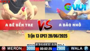 Trận 13 CPC1 28/06/2025 - Anh Bé Bến Tre Vs Anh Bảo Nhỏ