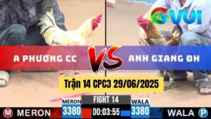 Trận 14 CPC3 29/06/2025 - Anh Phương Tóc Dài Vs Anh Giang Đức Hoà
