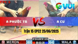 Trận 15 CPC2 25/06/2025 - Gà Que Của Anh Cu Tán 2 Chân Có Lúa Về