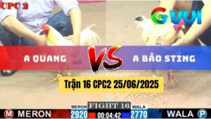 Trận 16 CPC2 25/06/2025 - Anh Quang Chốt Hạ Anh Bảo Sting
