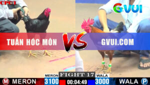 Trận 17 CPC1 5/6/2025 - Gà Vàng Có Chân Tiền Cứu Chủ Về Bờ Đẳng Cấp