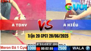 Trận 18 CPC1 28/06/2025 - Gà Anh Tony Đá Quá Nhanh Quá Nguy Hiểm