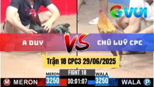 Trận 18 CPC3 29/06/2025 - Gà Anh Duy Hạ Gọn Gà Chú Luỹ Campuchia