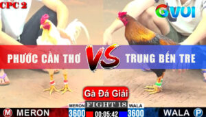 Trận 18 Giải CPC2 1/6/2025 - Điều Né Hay Phản Lại Bướm Gãy Giò Nằm Sân