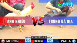 Trận 19 CPC2 8/6/2025 -Gà Xanh Mai Độ Phản Lại Phút Cuối Cứu Chủ Về Bờ